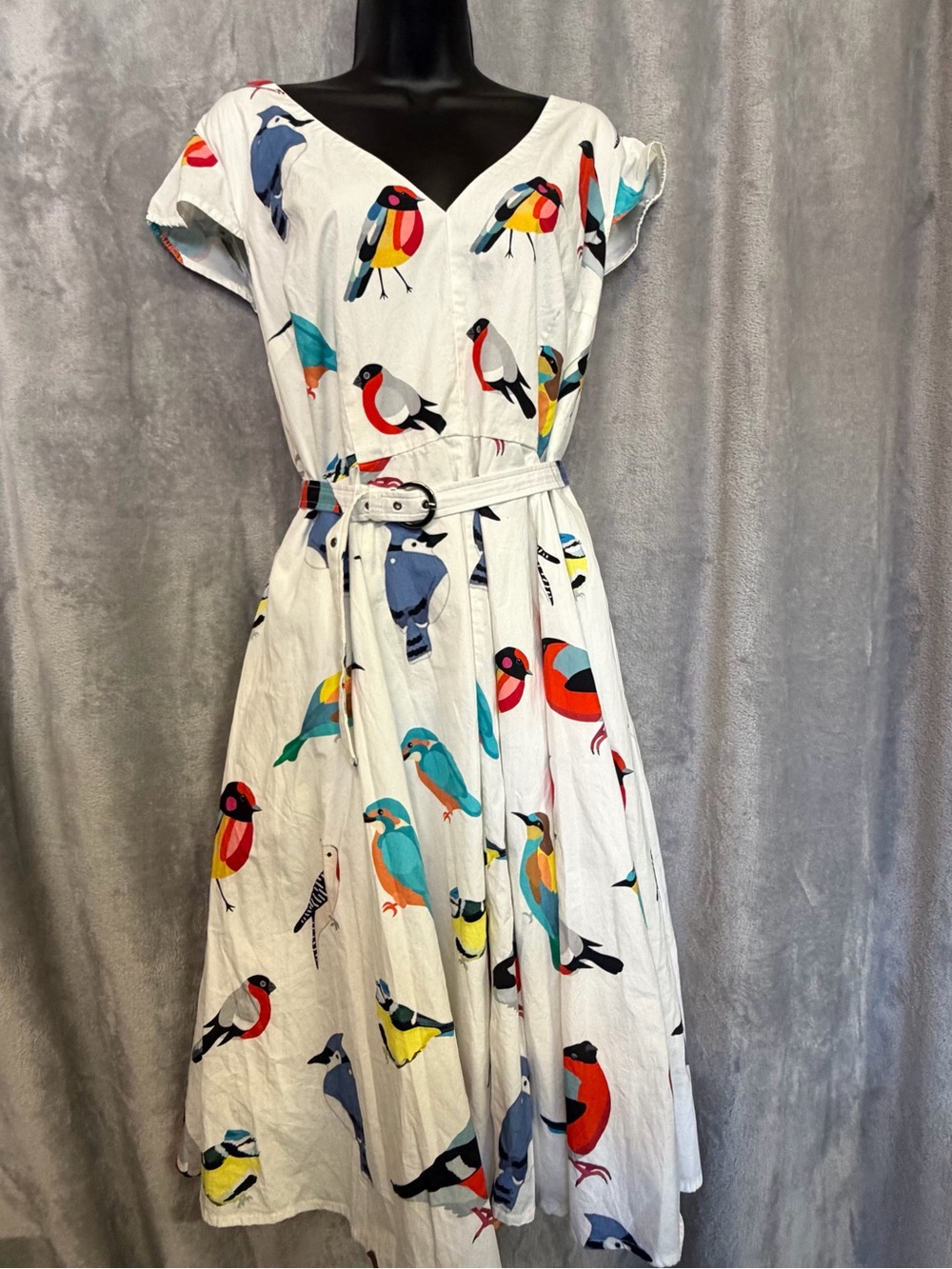 Vintage-Inspired Colorful Bird Print Belted Midi Dress / Whimsical Botanical